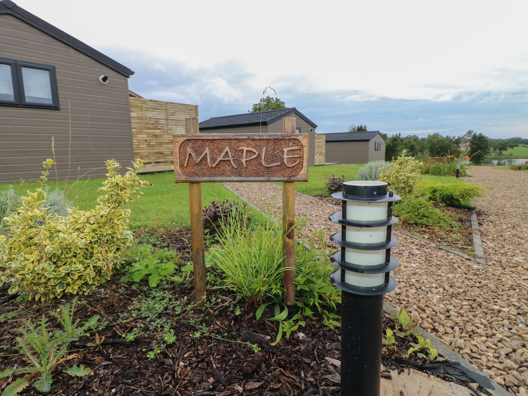 Maple