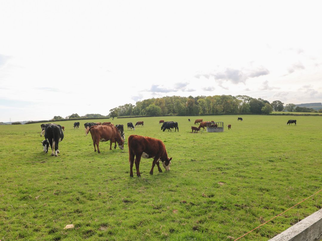 Far Coley Farm - Hereford Barn