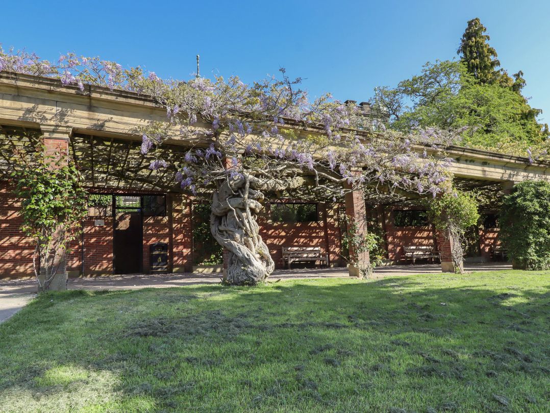 3 Glendowne Terrace
