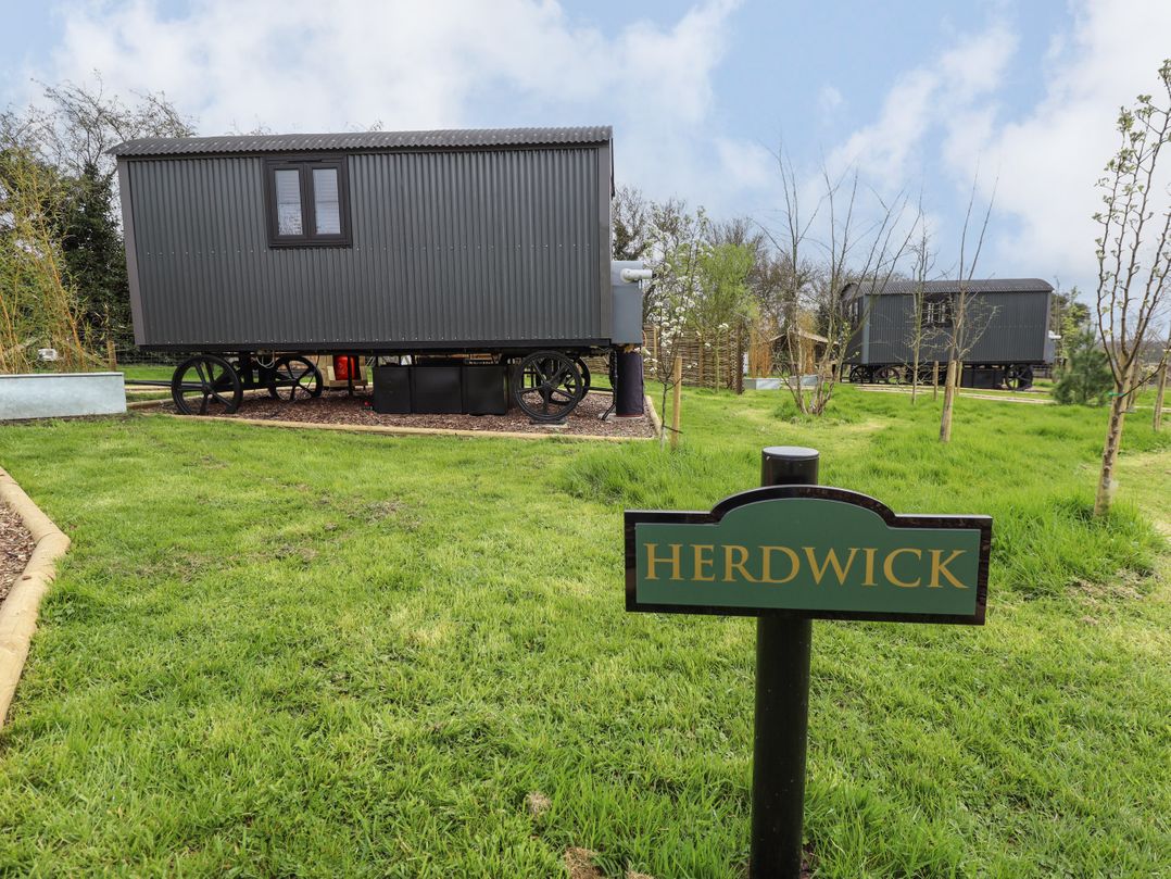Herdwick