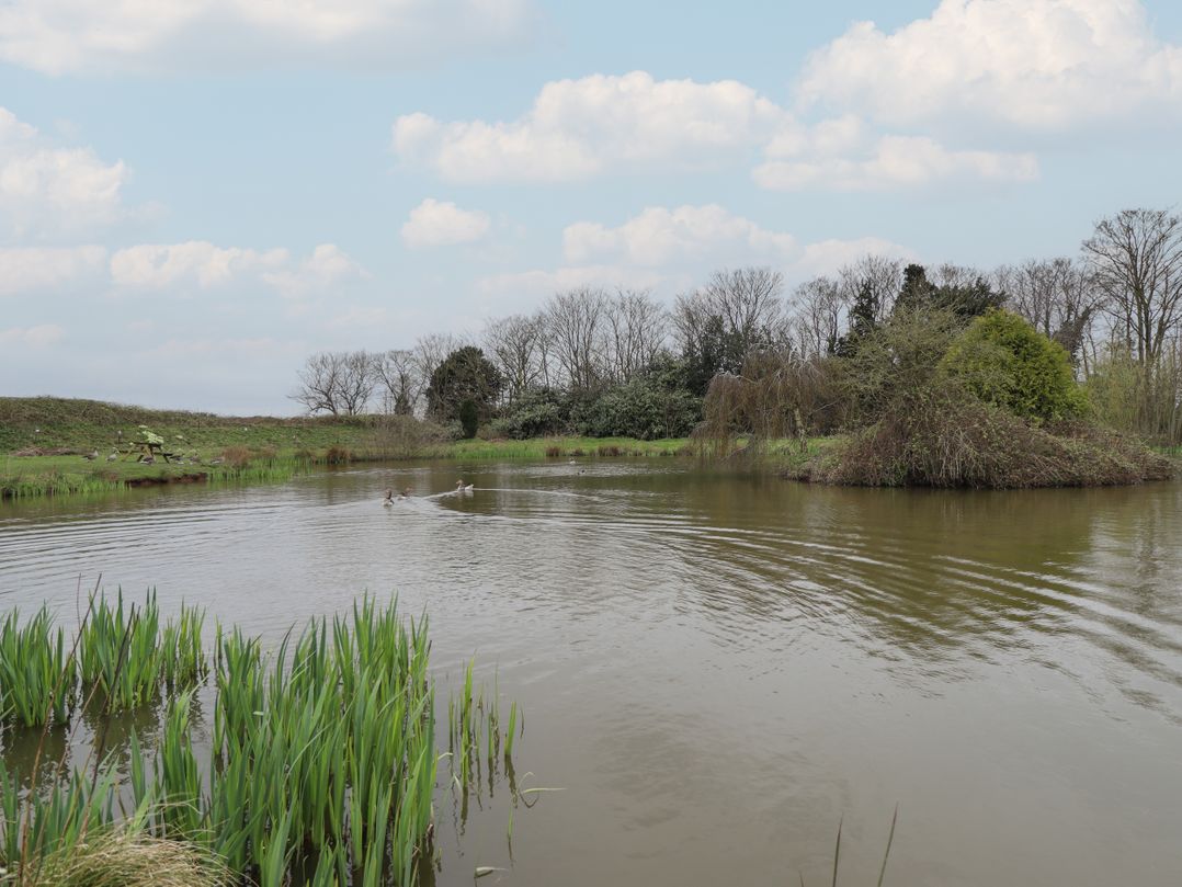 Southdown