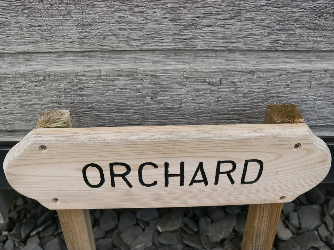 Orchard