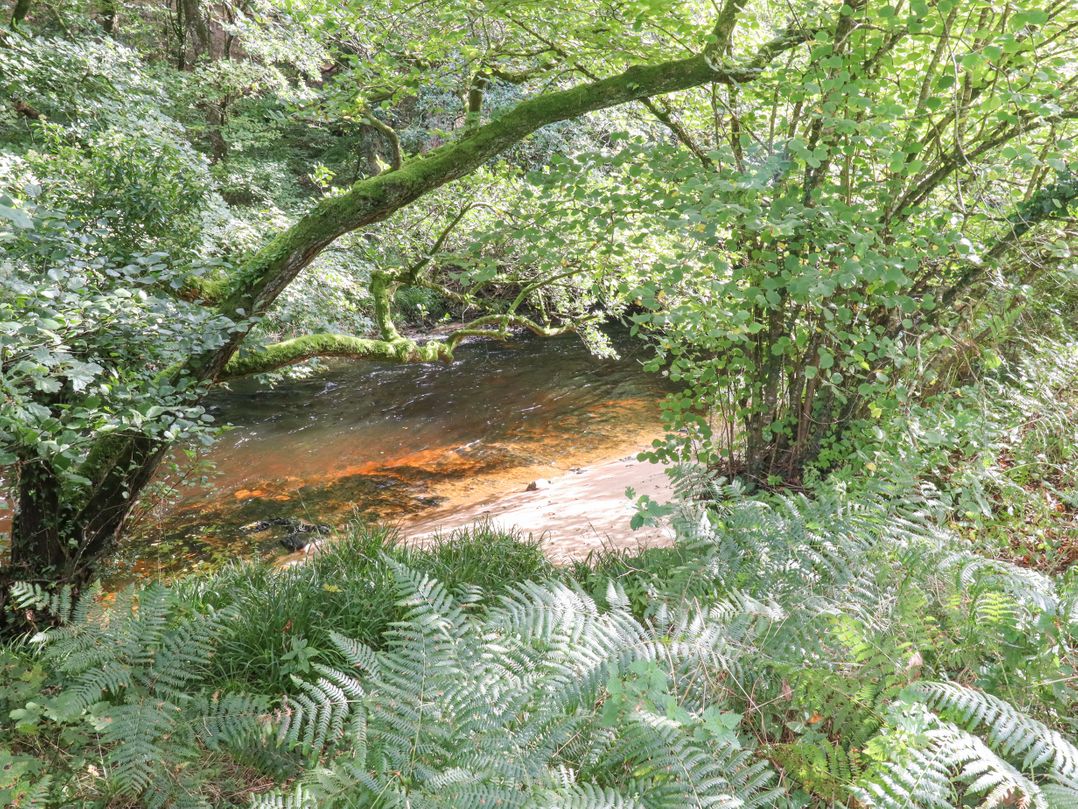 Teign River Retreat