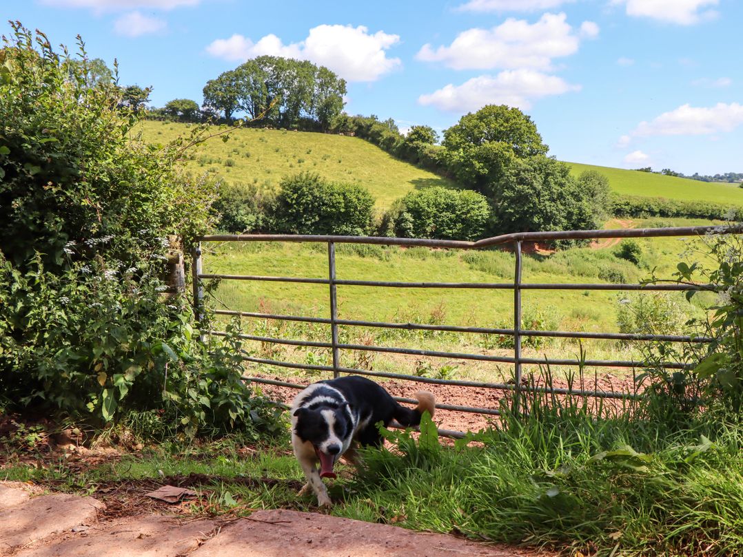 Twyford Farm Cottage