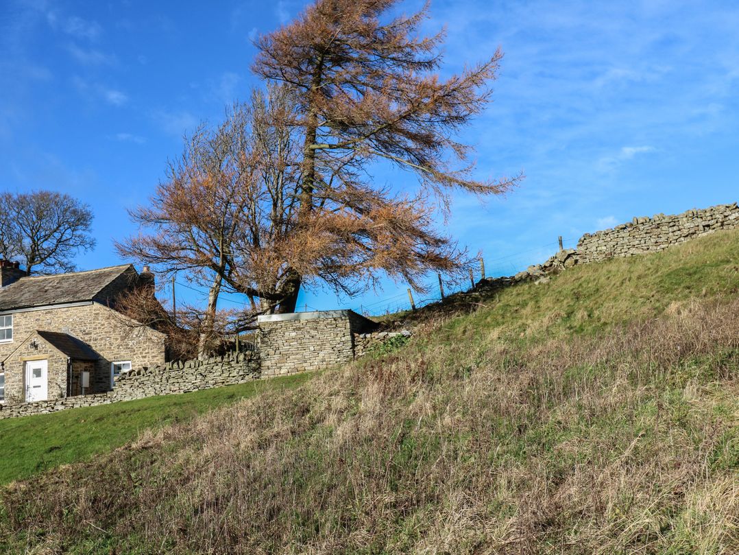 Swinhope View