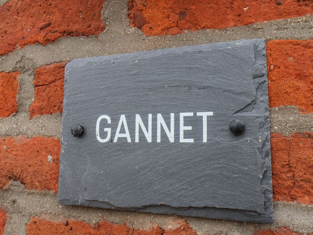 Gannet