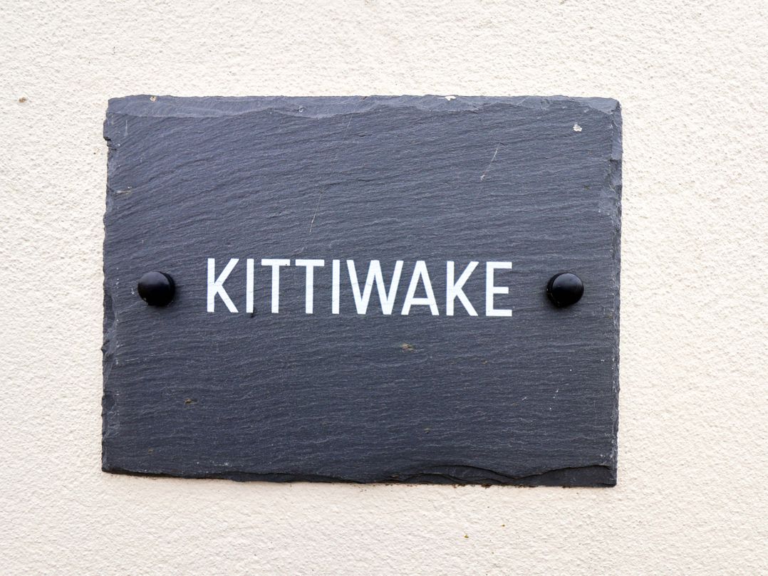 Kittiwake