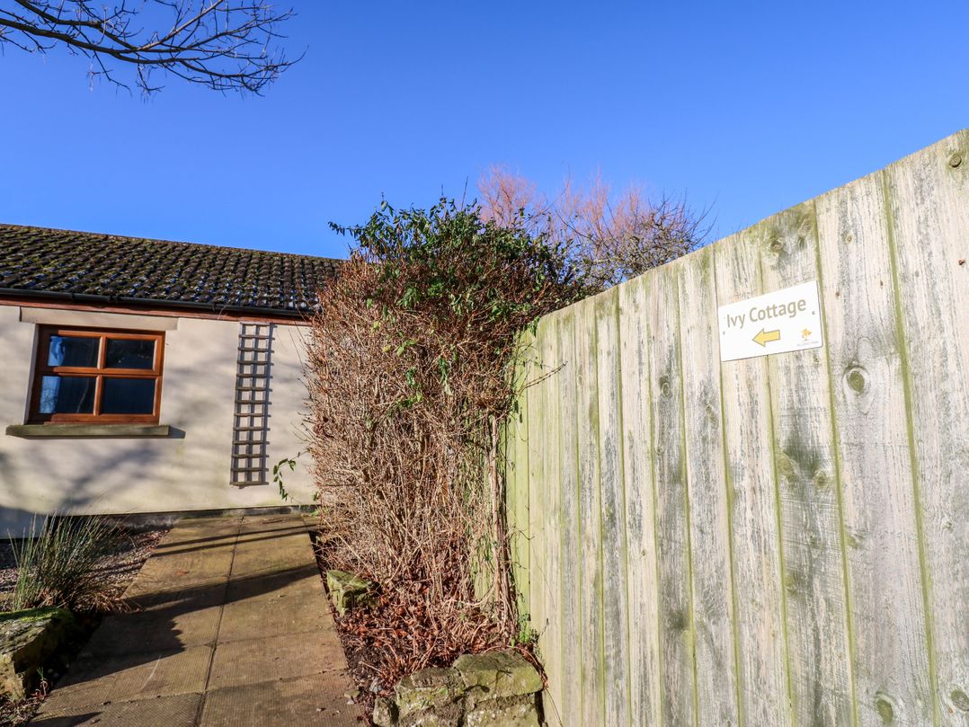 Ivy Cottage