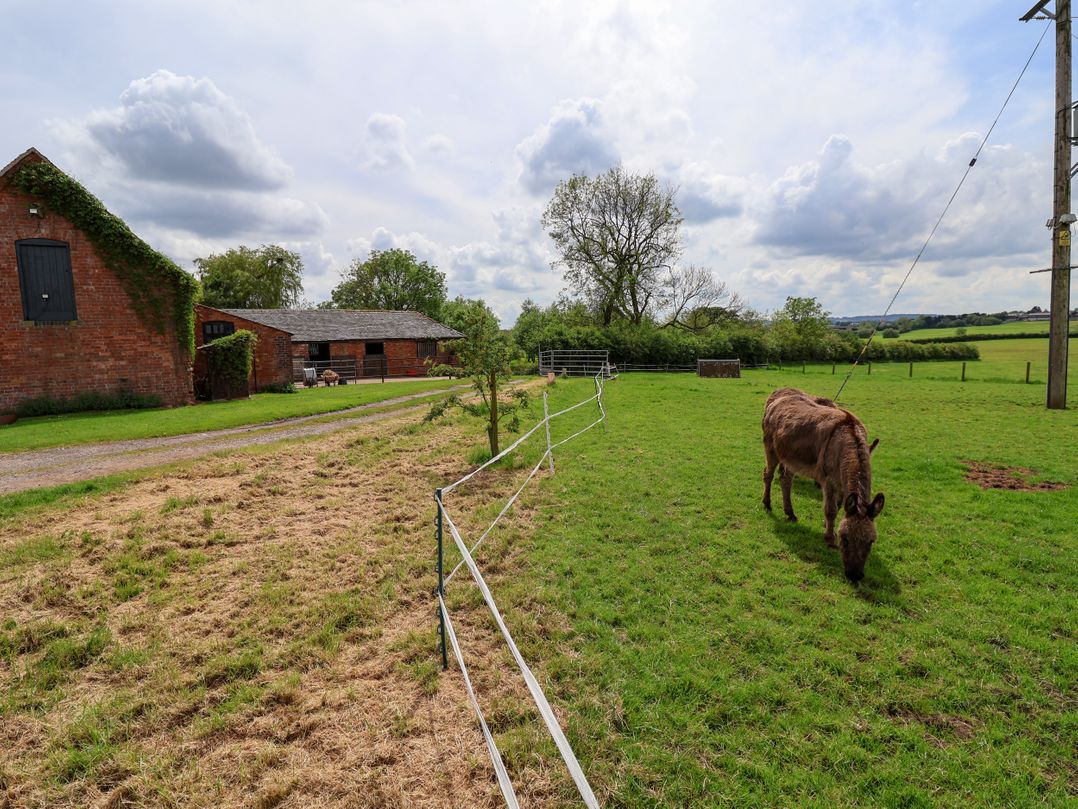 Holmside
