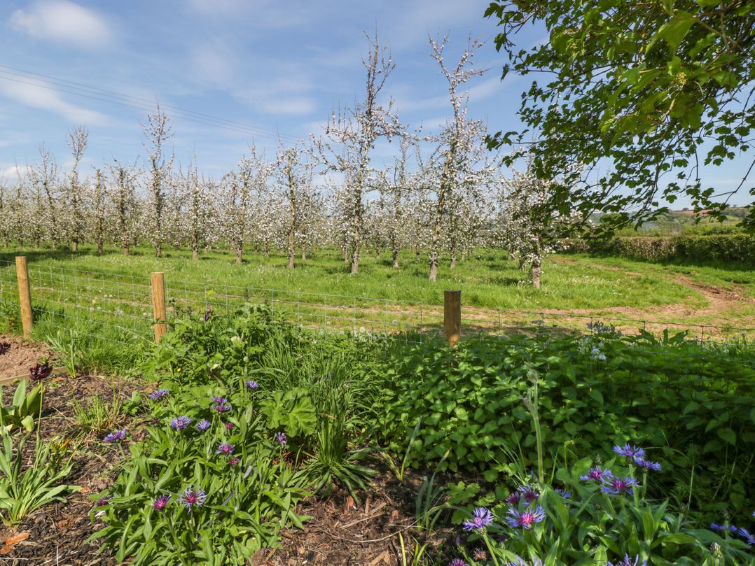 Harvest Moon Cottage