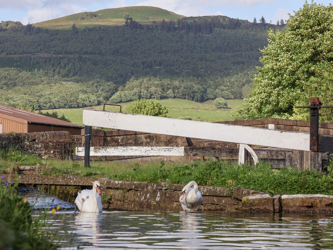 The Swans Nest Lock View