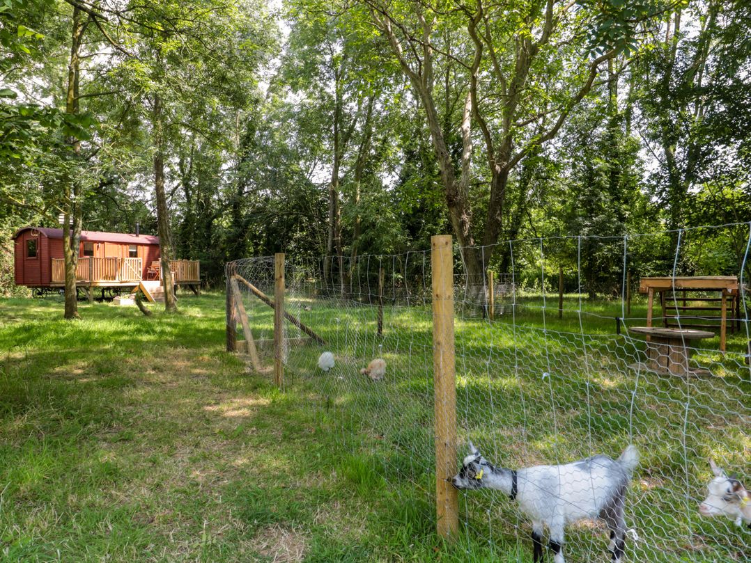 The Foxes Den Shepherds Hut