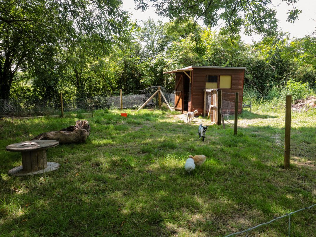 The Foxes Den Shepherds Hut