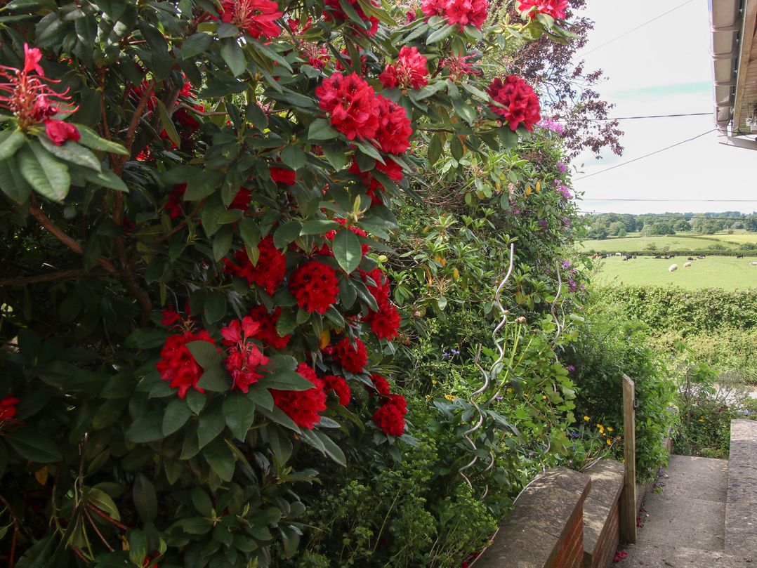 Plum Hill