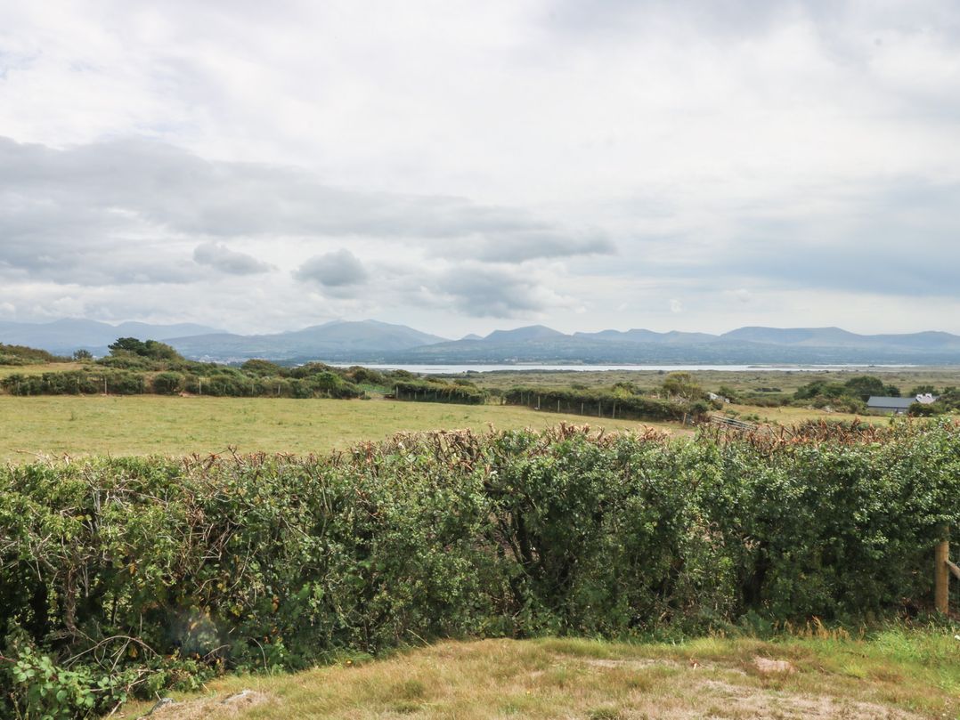Tir Mawr