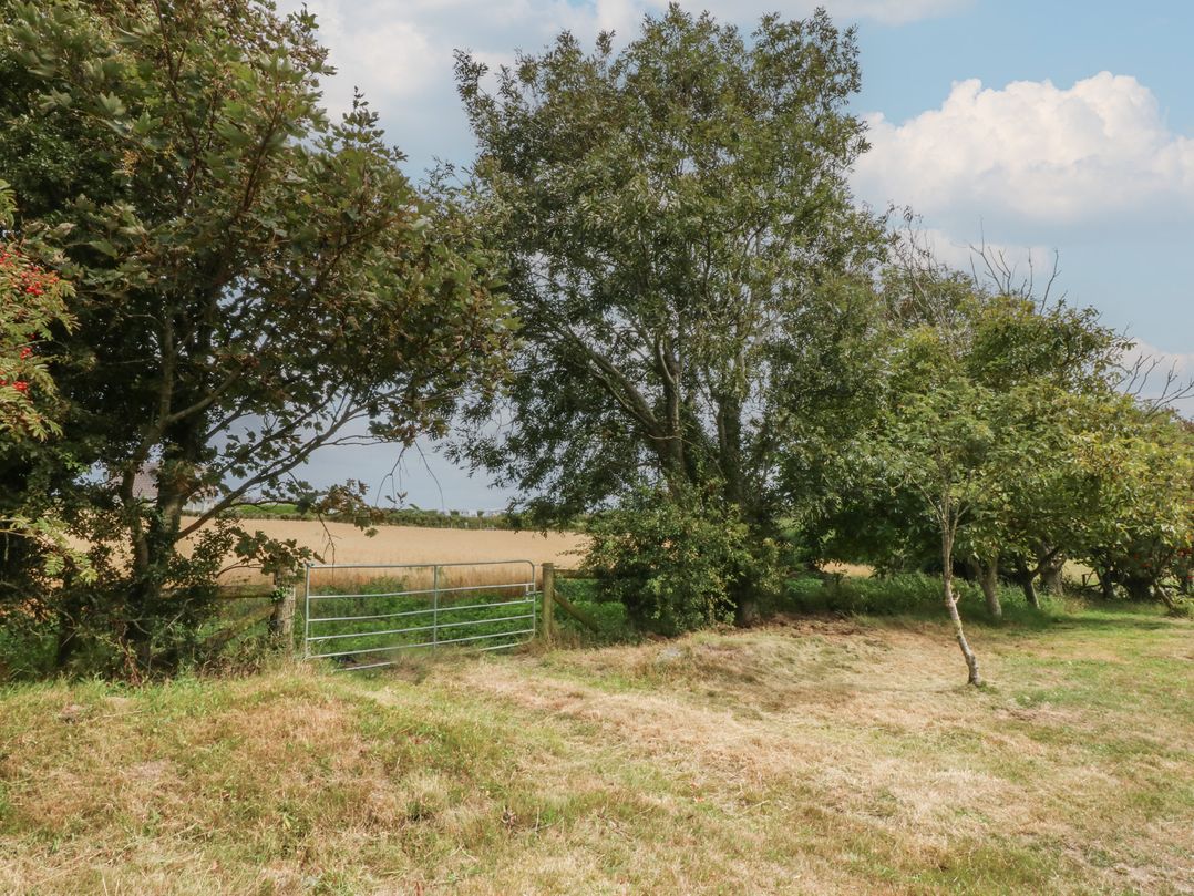 Tir Mawr