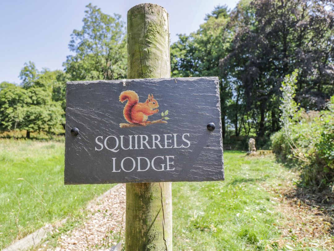 Squirrels Lodge