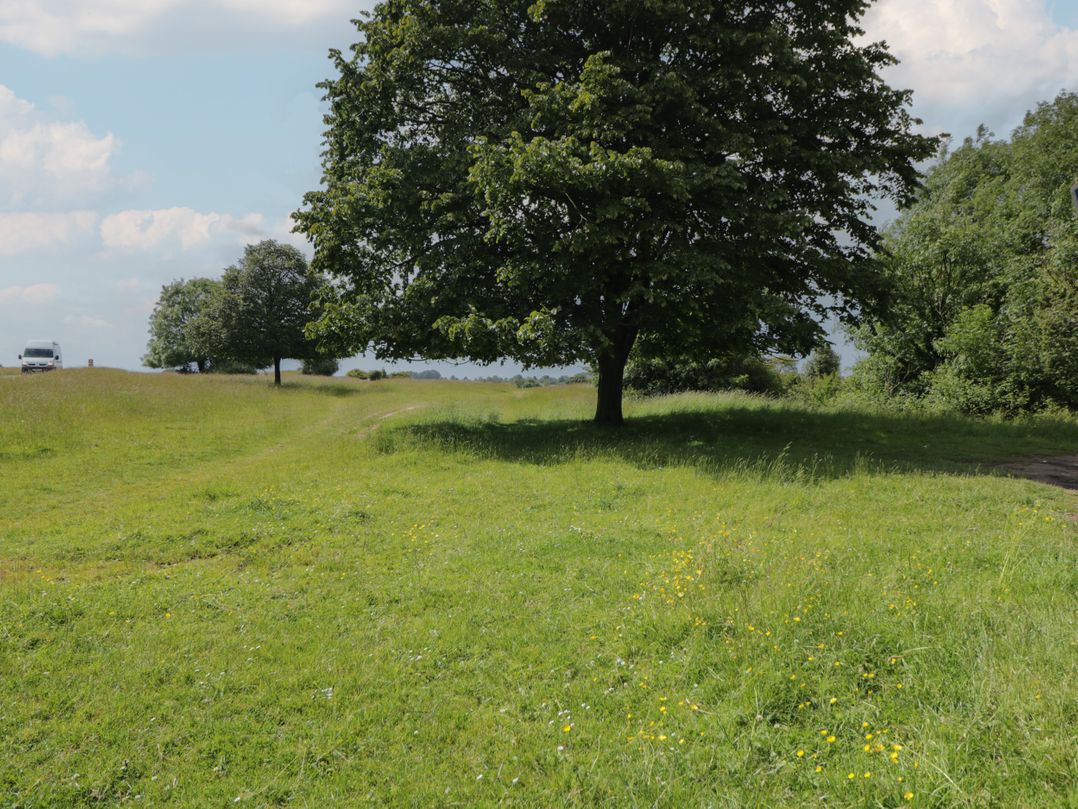 Park View
