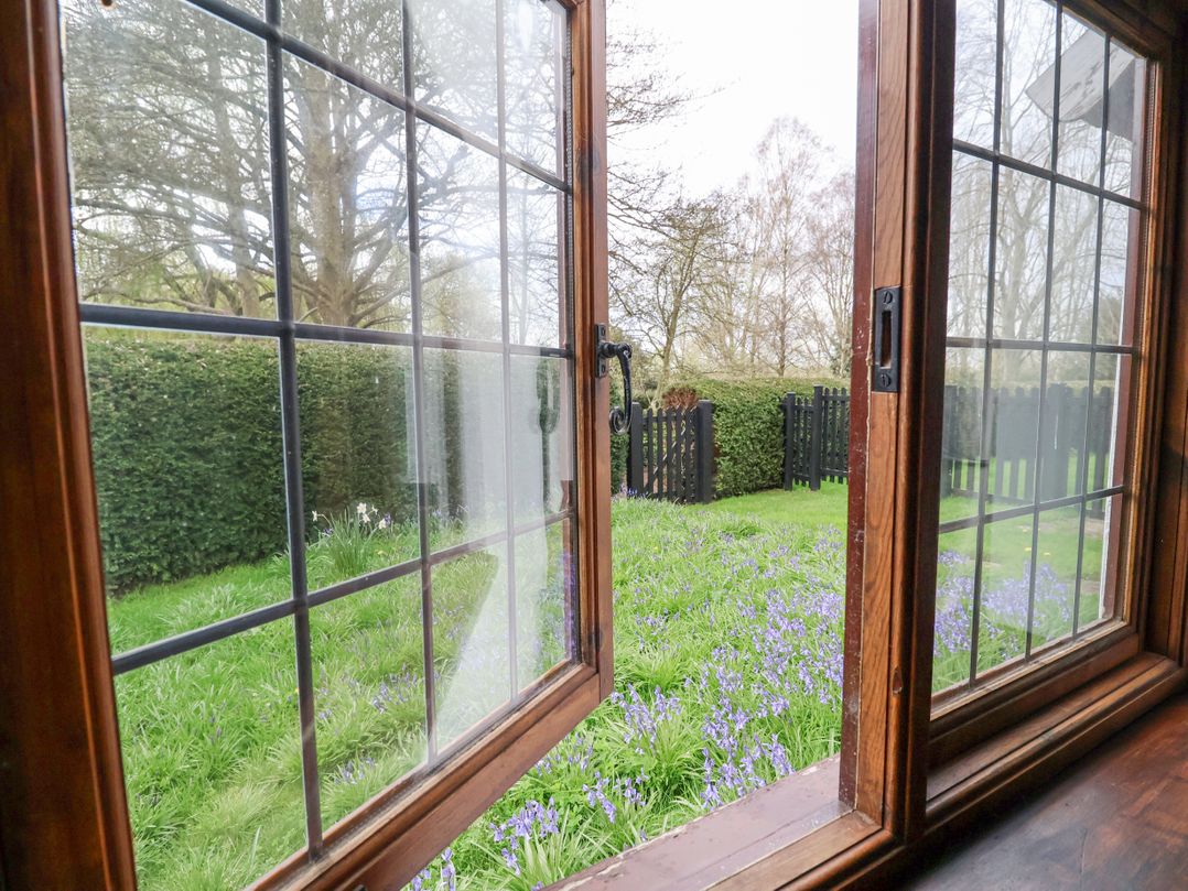 Bluebell