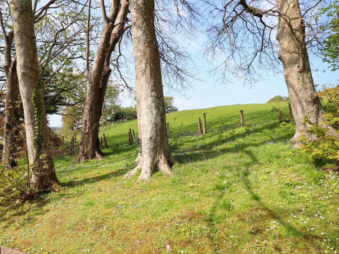 Hill View