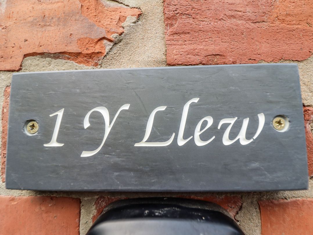 1 Y Llew