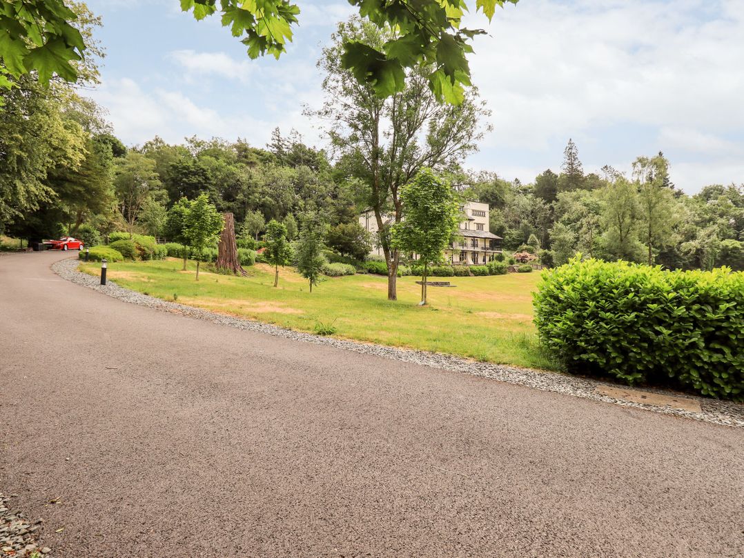 Deer Wood At Applethwaite Hall