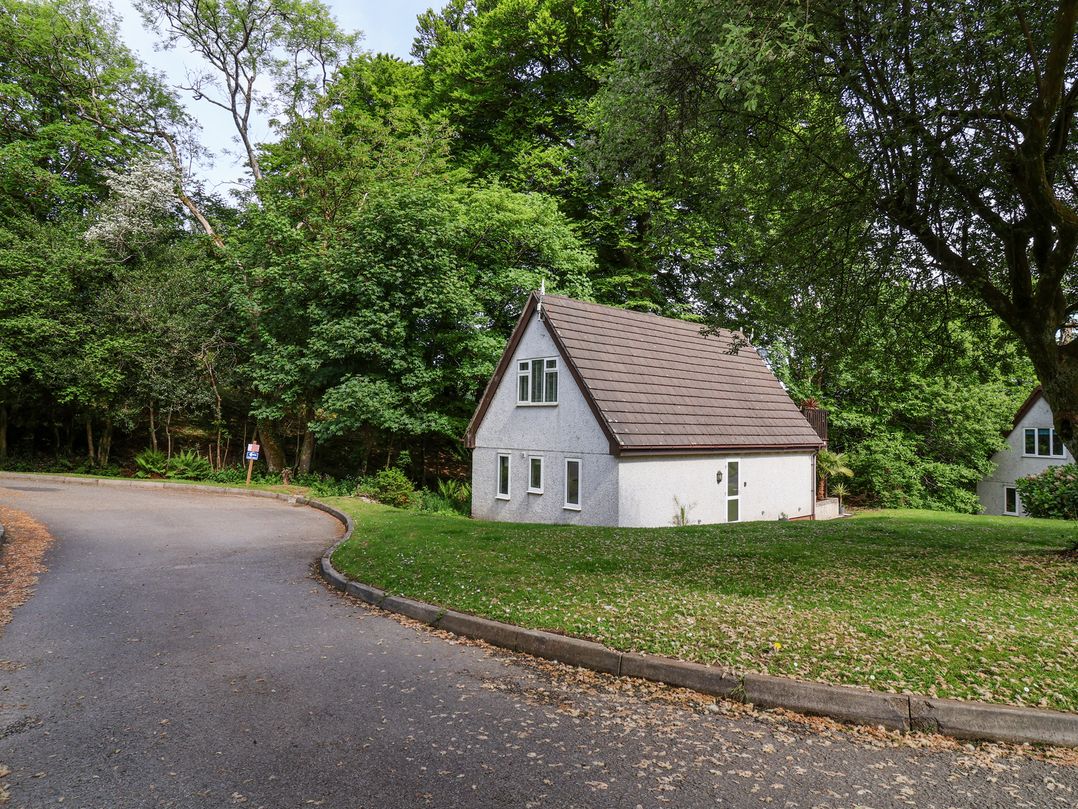 Driftwood - 54 Valley Lodge