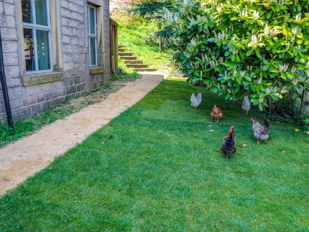 Pule Hill Farm