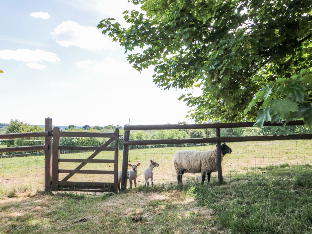 The Bull Pen
