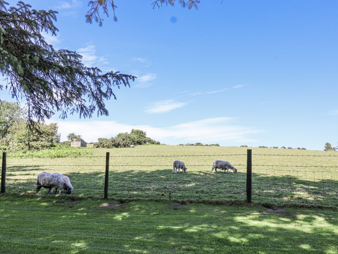 The Hayloft