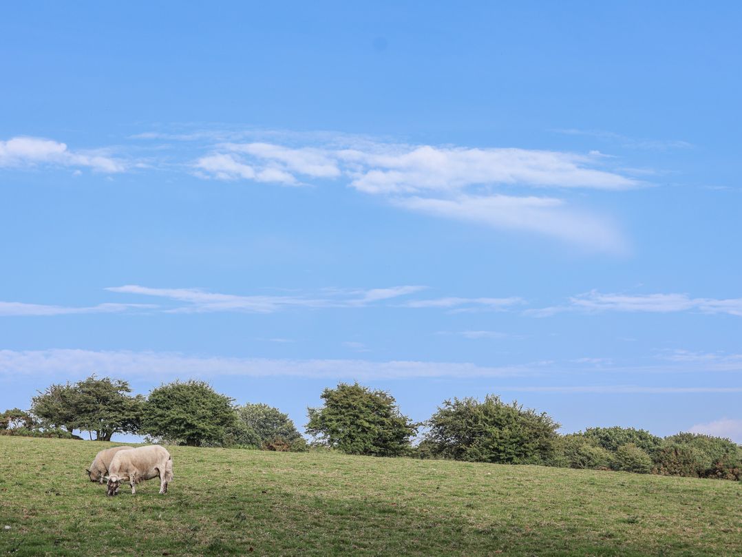 The Dairy