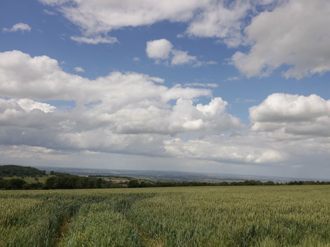 Greenway View