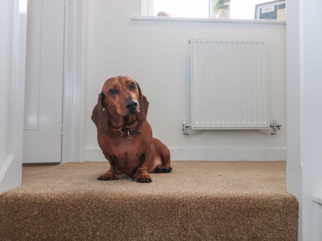 Cotswold Outlet Coach House