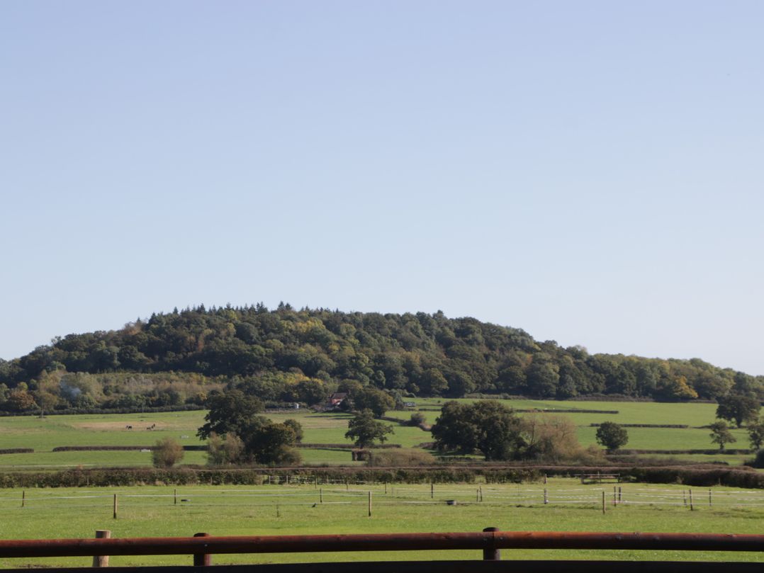 Leadon View Willow