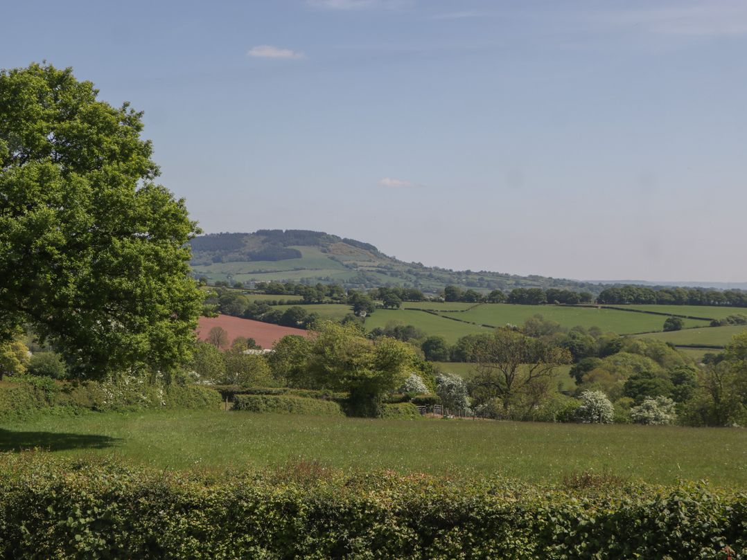 Cefn Campstone