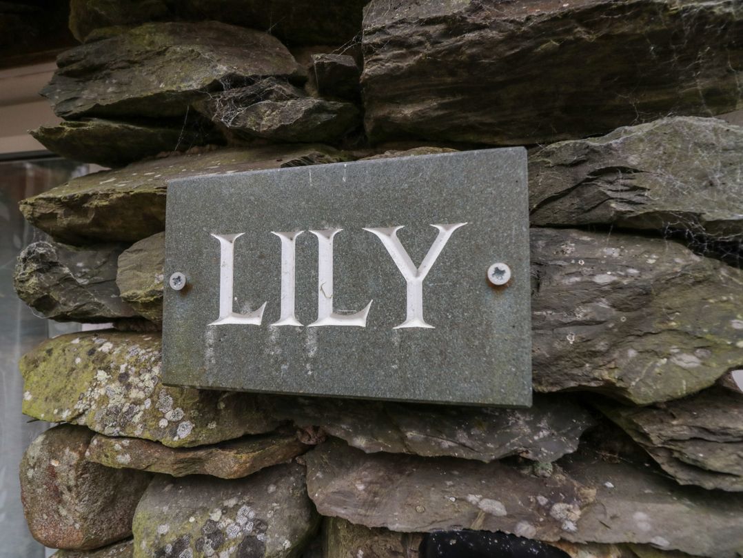 Lily