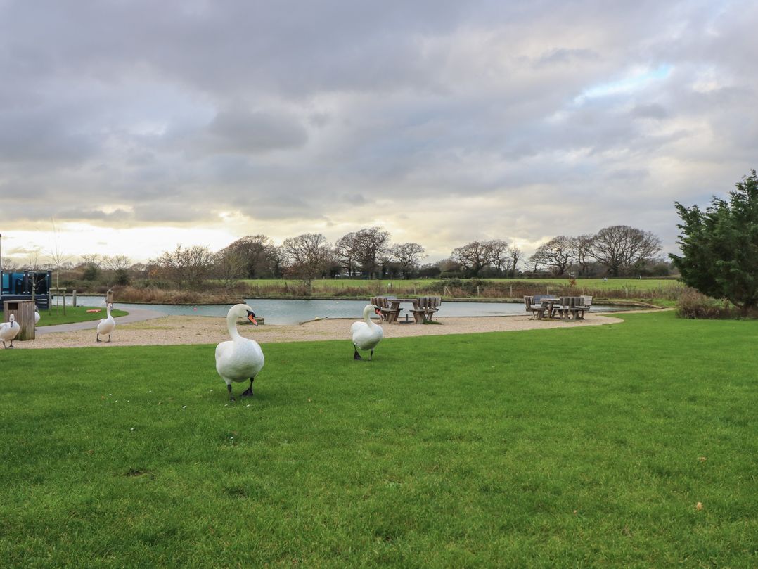 Dunlin Walk 13