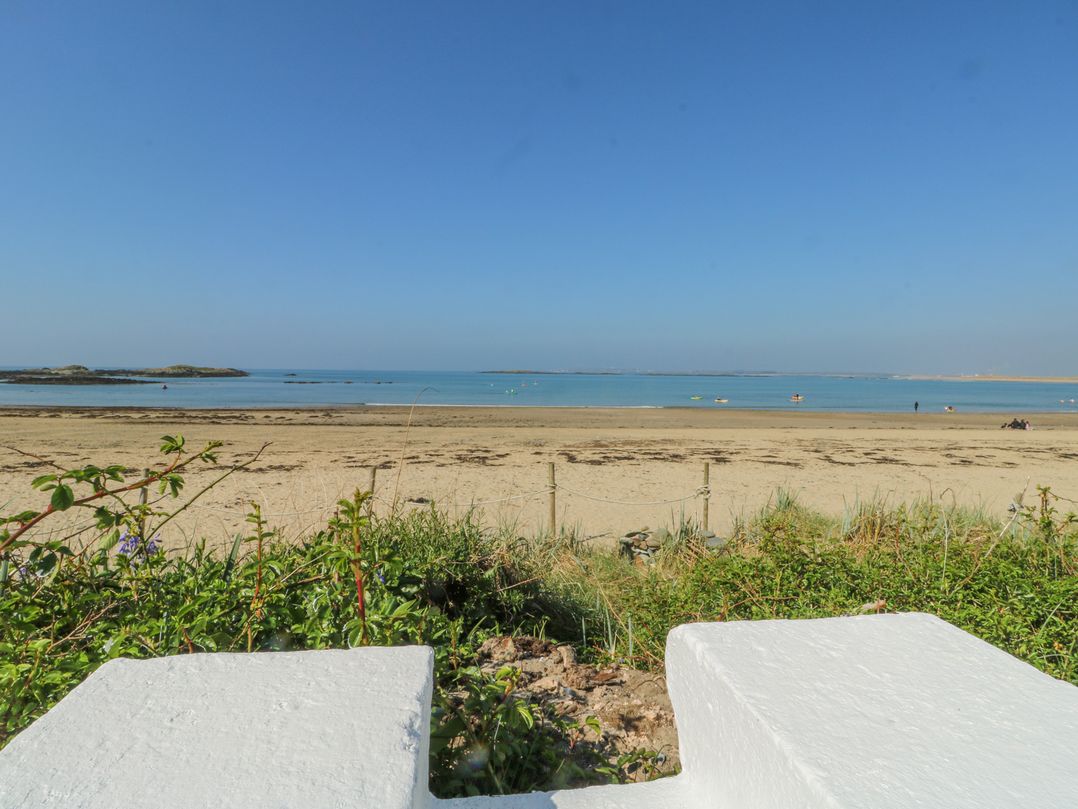 The Harbour