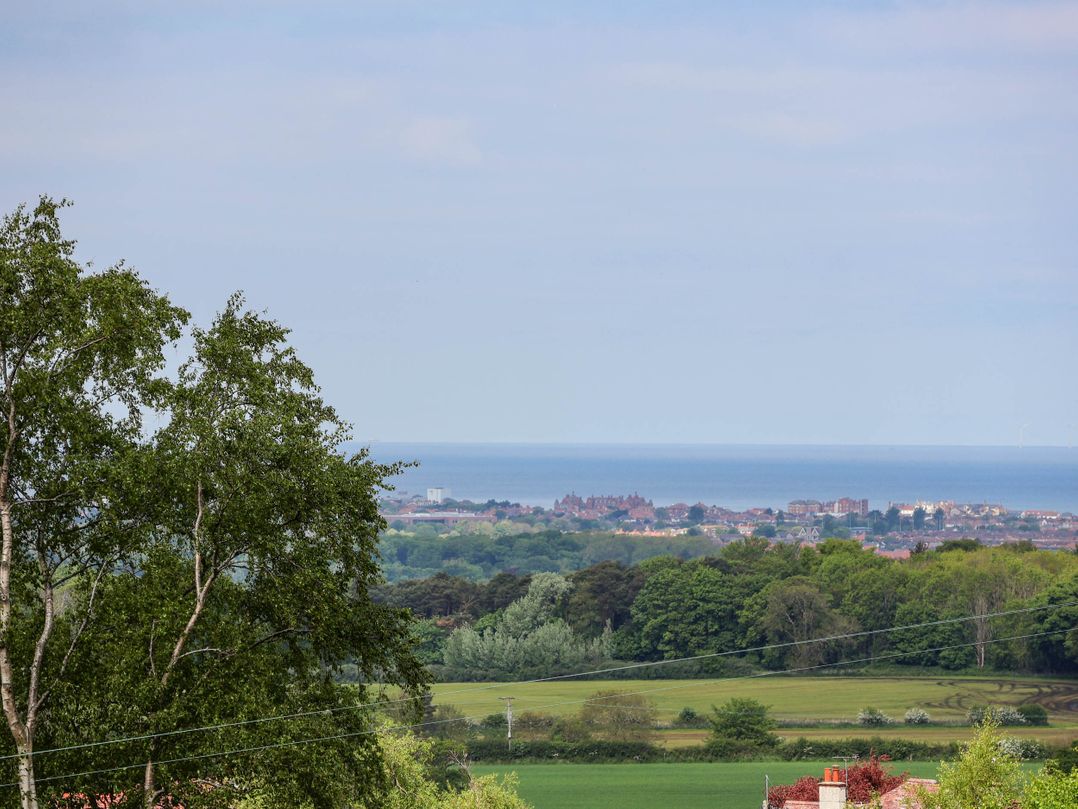 Buzzards View