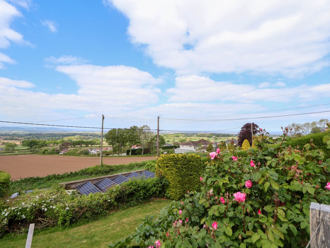 Buzzards View