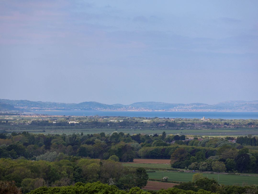Buzzards View