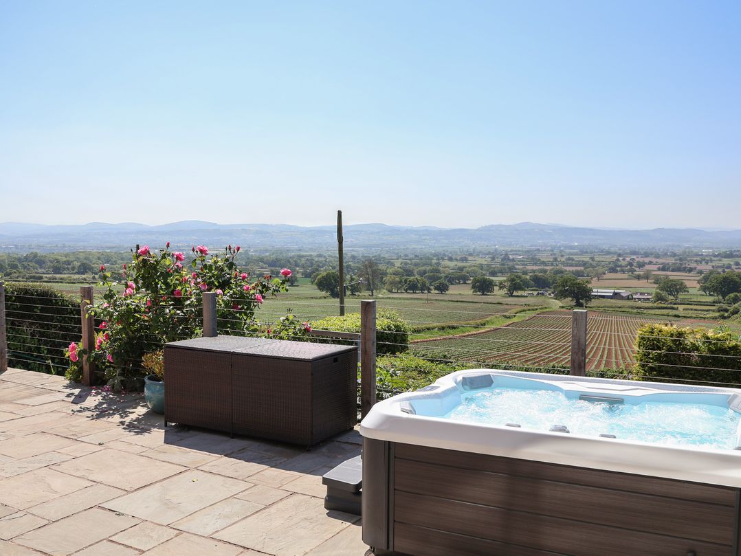 Buzzards View