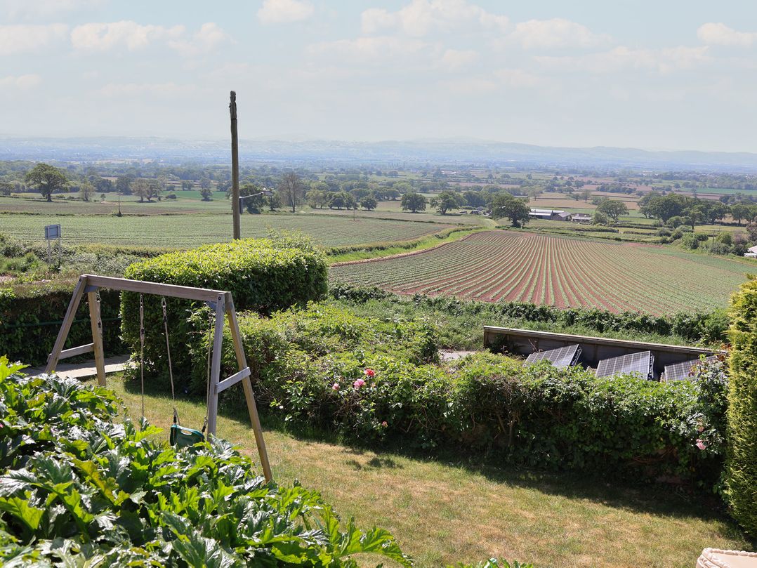 Buzzards View