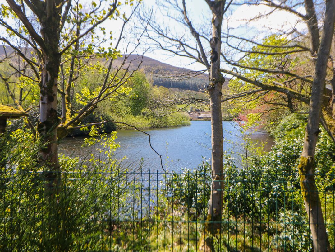 Dovestone Luxury Lodges (sleeps 4)- pet free