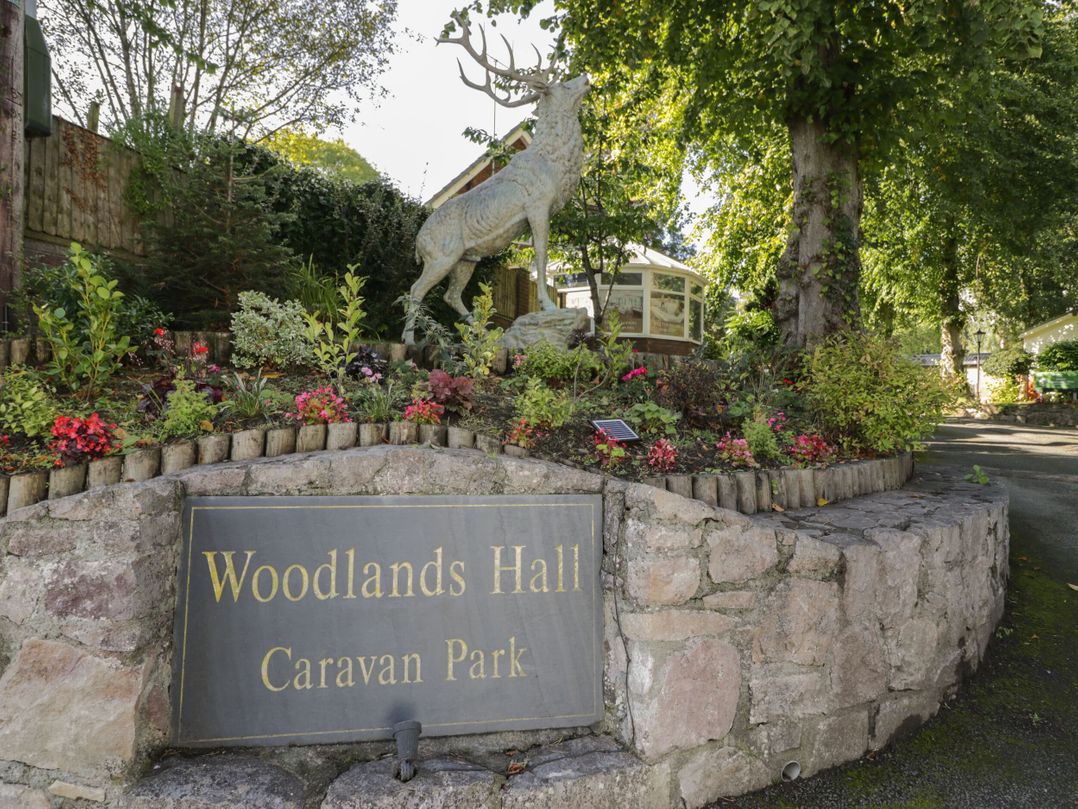 Woodlands Gold (WO06)