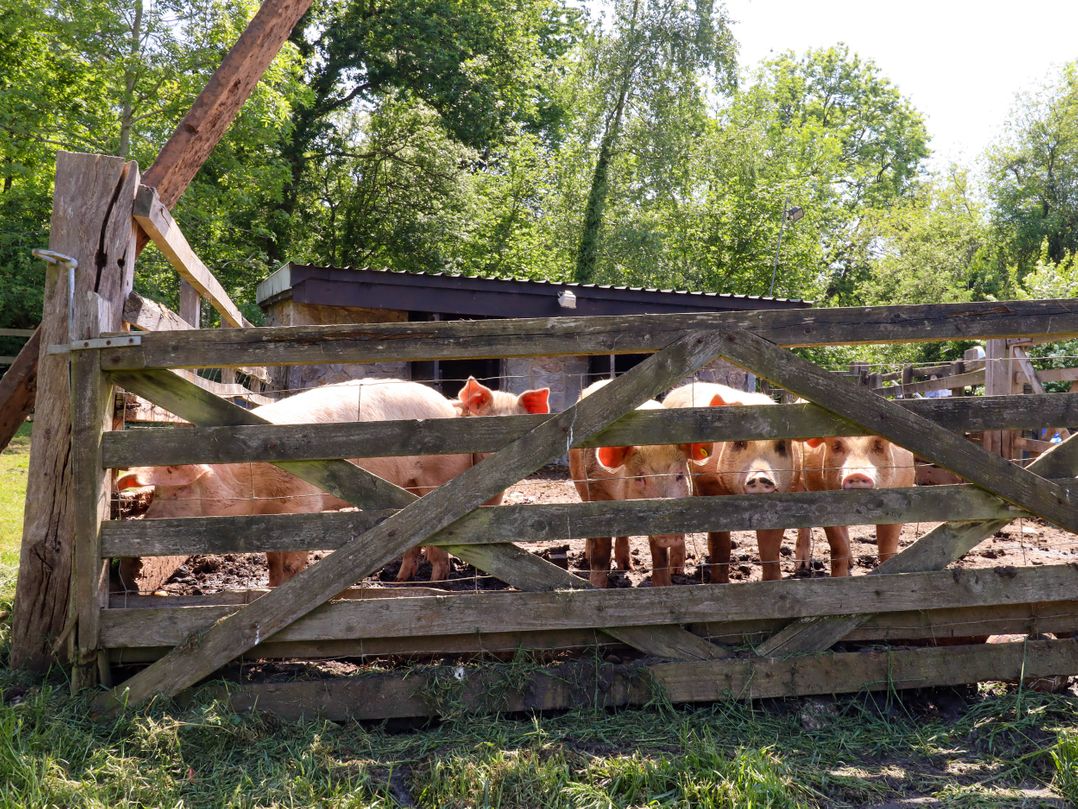 Pucklechurch