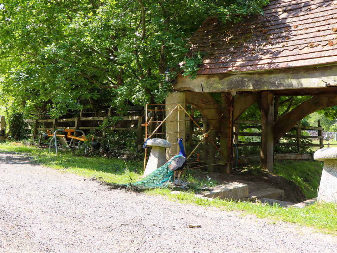Pucklechurch