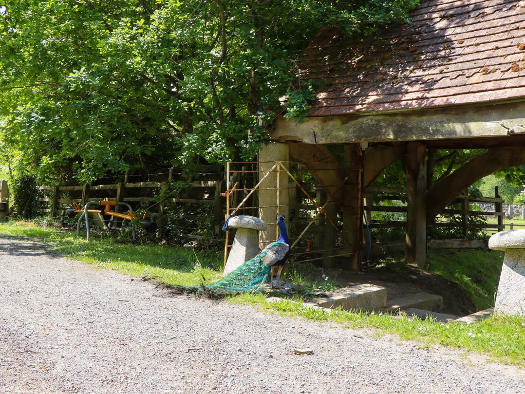 Buckleigh Lodge