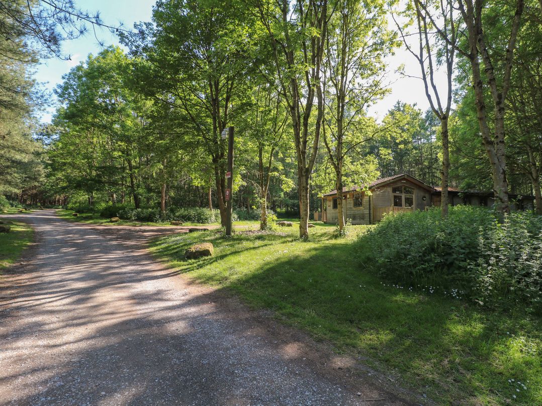Chestnut Lodge