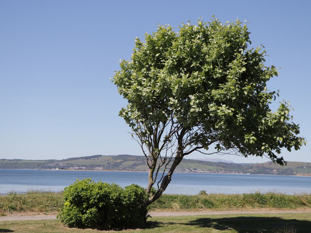 Fishers Cottage